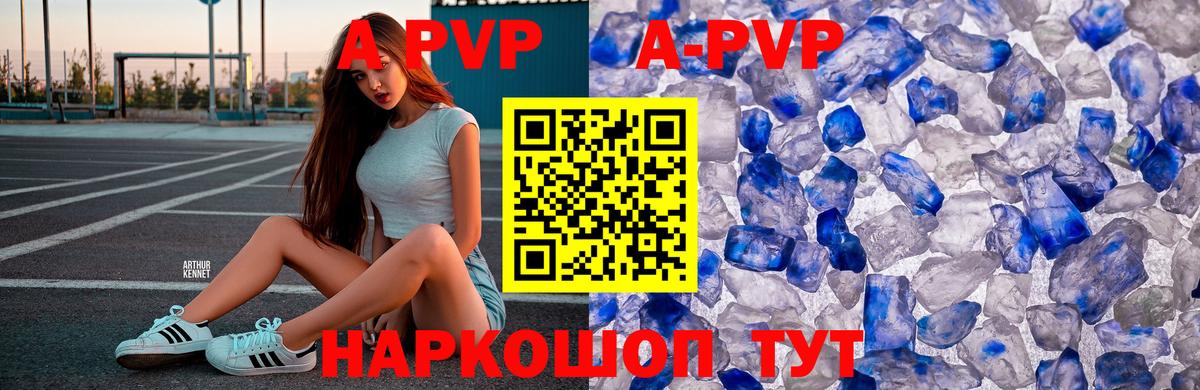 Альфа ПВП СК КРИС Губкин