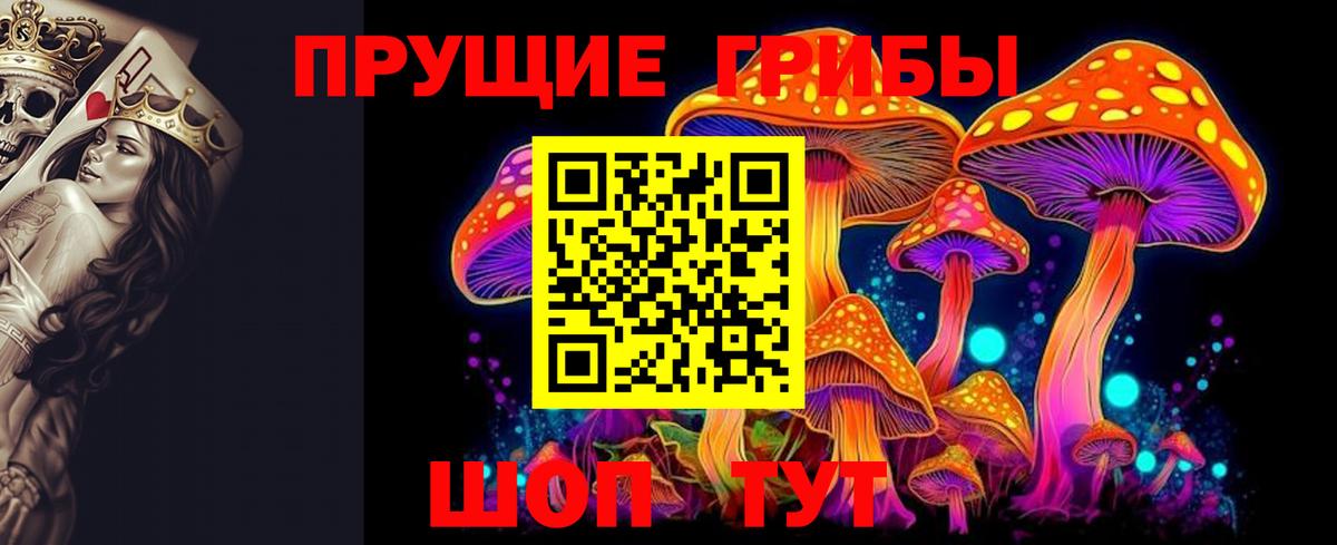 Галлюциногенные грибы прущие грибы Губкин