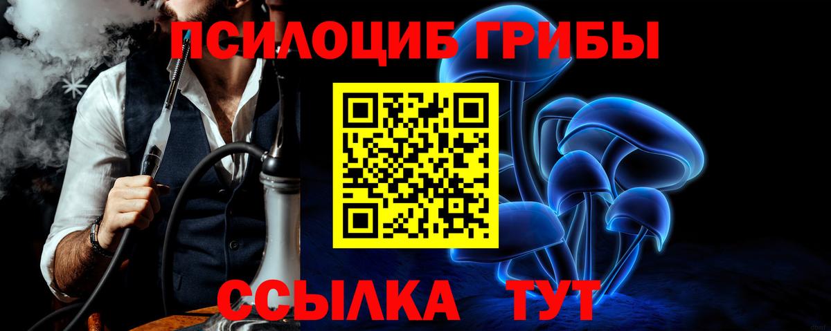 Псилоцибиновые грибы мухоморы  Вход с VPN  Губкин  Галлюциногенные грибы MAGIC MUSHROOMS 